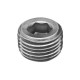 5406 (Hex Socket Pipe Plug)